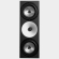 Amphion Two18