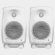 Genelec 8020D Pair (White)